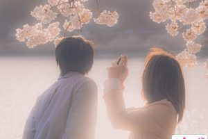 没有爱字却字字含情的文案 超级唯美又很好听的句子