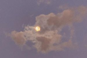 心里很浮躁的说说 心里很燥静不下来的句子