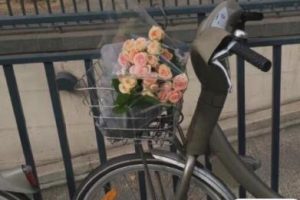 很流行嘲讽力度十足的句子 很有趣的俏皮的嘲讽文案