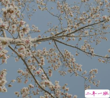 钱花的很快的搞笑说说 花钱快的幽默文案2