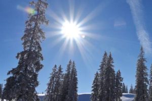 冬季天气很好阳光很美句子 冬季阳光明媚的文案