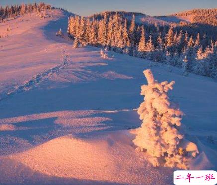 冬季天气很好阳光很美句子 冬季阳光明媚的文案2