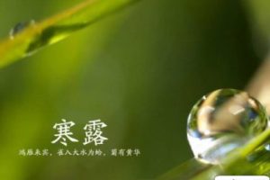 2021寒露节气发朋友圈的文案 寒露节气早安祝福语