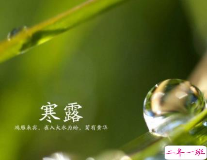 2021寒露节气发朋友圈的文案 寒露节气早安祝福语1