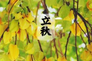 关于立秋的简短唯美句子 2021二十四节气立秋节气经典句子