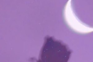 韵味十足很温暖的句子 很温暖又很治愈的短句