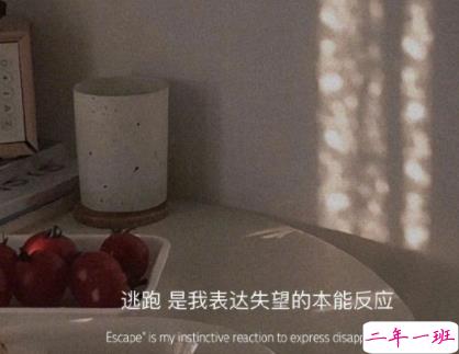 没有和自己喜欢的在一起的遗憾说说 两个人没有走到一块的难过句子1