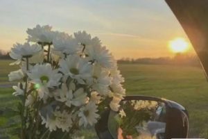 心态崩了的朋友圈说说 心态爆炸的朋友圈短句