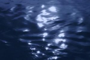 紧跟潮流的好听的朋友圈文案 风格很时尚的优美语录