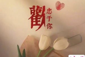 微甜的不肉麻的情话文案 很甜很撩人的情话句子