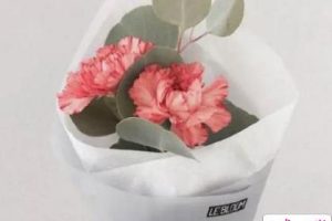 收到鲜花意想不到的心情说说 收到花的很开心的句子