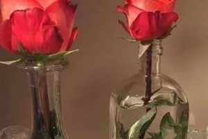 让对方答应你的甜美告白句子 超级甜美的告白语录