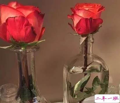 让对方答应你的甜美告白句子 超级甜美的告白语录1