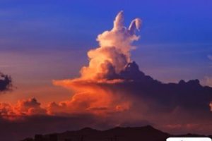 让人小鹿乱撞的爱情文案 很美好又很干净的说说