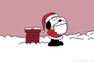 圣诞节发朋友圈的搞笑说说 2021圣诞节幽默的文案好听