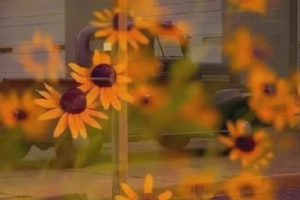 2021结束2022我们继续的说说 2022我们继续努力的句子