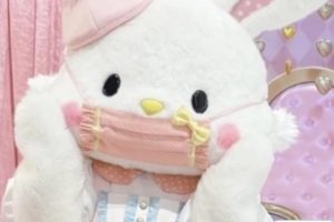 2022元旦发朋友圈的搞笑说说 元旦超级有趣的文案