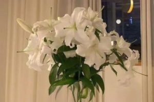 跨年夜零点的爱情语录 2022很甜美的跨年爱情句子