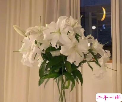 跨年夜零点的爱情语录 2022很甜美的跨年爱情句子1