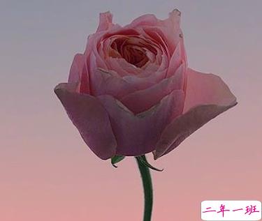 超级温柔的神仙句子文案 30句温柔发朋友圈的语录1