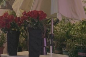 生活不尽人意的伤感语录 很不如意的经典语录