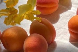 表达自己暗恋结束了的句子 告别自己暗恋的人的朋友圈