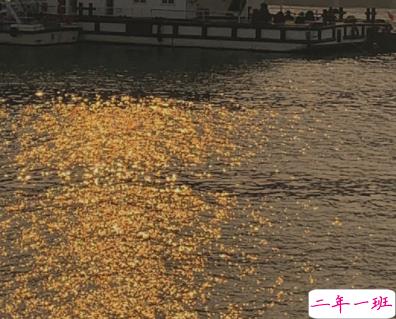 生活不尽人意的伤感语录 很不如意的经典语录2