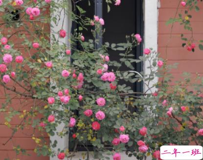 讽刺男人花心暧昧的句子 嘲讽男人暧昧的文案1