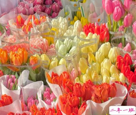 2022关于年味发朋友圈的句子 春节年味很浓的好听文案2