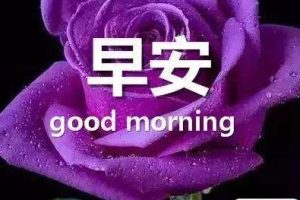 老年人好听的早安问候语 很好听的老人群发的早安文案