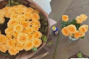 一个人独坐的安静句子 自己一个人安静的呆在的文案