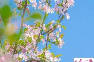 2022春天到来心情很好的句子 迎接春天的好心情文案