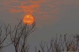 成熟又很现实的一段话 深入人心的精辟语录