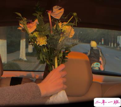 人间清醒无关爱情的好听文案 很温暖好听的治愈语录2