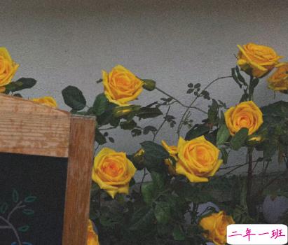 成熟又很现实的一段话 深入人心的精辟语录2