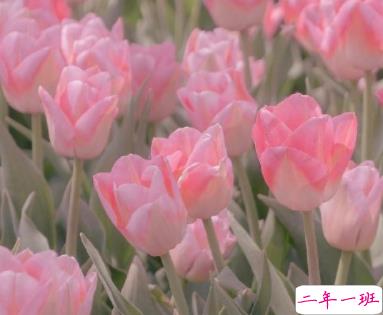 2022除夕夜跟爱人表白的文案 除夕夜写给爱人的祝福语1