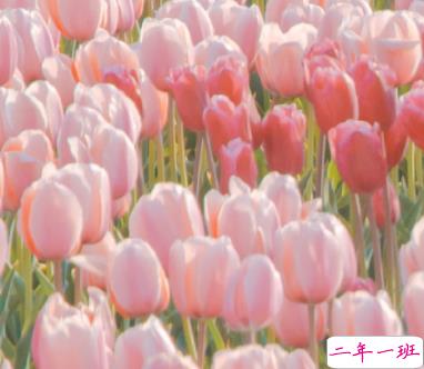 2022除夕夜跟爱人表白的文案 除夕夜写给爱人的祝福语2