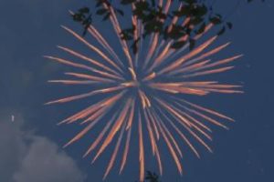 很憨很俏皮的朋友圈2022最新 很调皮的搞笑的句子