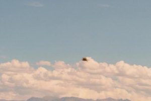 超级暖心又很简短的说说语录 想去快乐里躲一躲