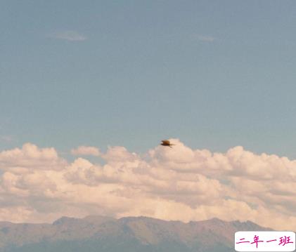 超级暖心又很简短的说说语录 想去快乐里躲一躲1