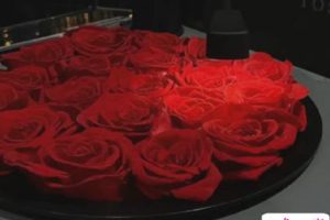 关于想放手的伤感说说 感情中不得以放手的句子