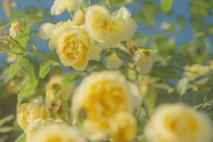 快乐越来越少了的说说 再也找不到以前的快乐文案