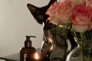 让人鼻子一酸的文案带图片 明知是场戏还要陪你演下去