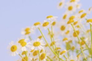 生活温柔又闪亮的句子 超级温柔的生活短句