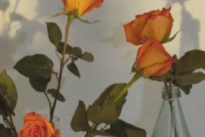 很火趣味的土味自恋文学句子 超级搞笑的调皮自恋文案