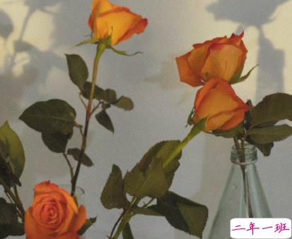 很火趣味的土味自恋文学句子 超级搞笑的调皮自恋文案1