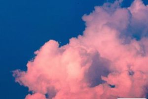 2022最很俏皮又很可爱的晚安语录 日月星辉之外你是第四种难得