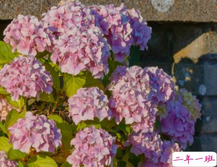 很火趣味的土味自恋文学句子 超级搞笑的调皮自恋文案2