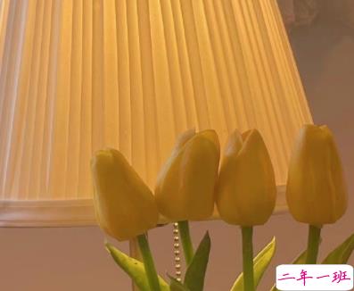 2022最很俏皮又很可爱的晚安语录 日月星辉之外你是第四种难得11