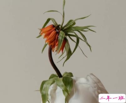 2022最很俏皮又很可爱的晚安语录 日月星辉之外你是第四种难得13